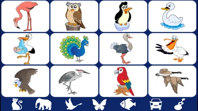 Video Touch: Wild Birds