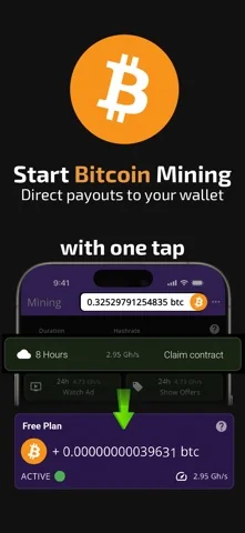 Bitcoin-Mining: Crypto Miner