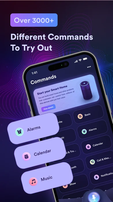 EchoApp Voice, Commands, Setup