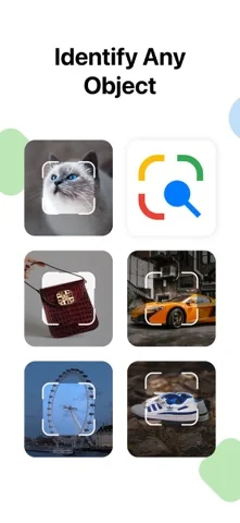 Lens - Photo Scan, Identifier