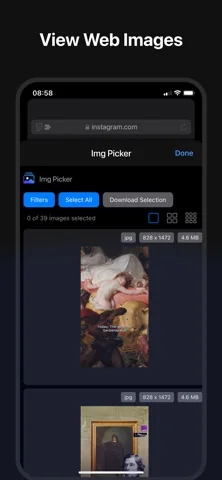 Img Picker Web Extension