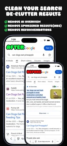 HideMess: Clear AI